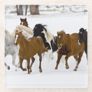 Een winter schilderachtig van hardlooppaarden glazen onderzetter
