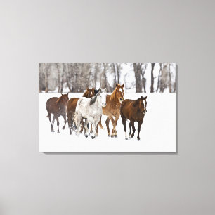 Een winter schilderachtig van hardlopen canvas afdruk