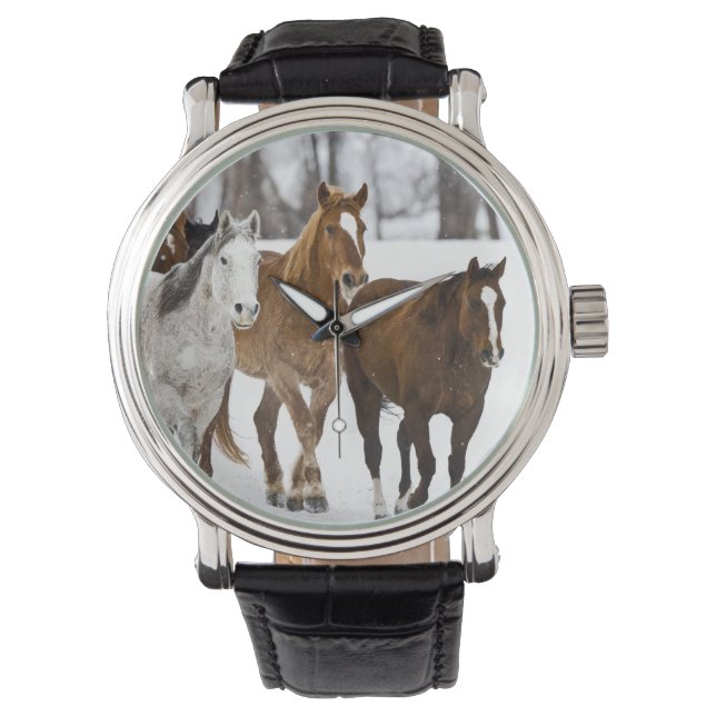 Een winter schilderachtig van hardlopen horloge (Voorkant)