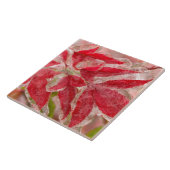 Een winterijs-storm dat de bladeren van tegeltje (Zijkant)