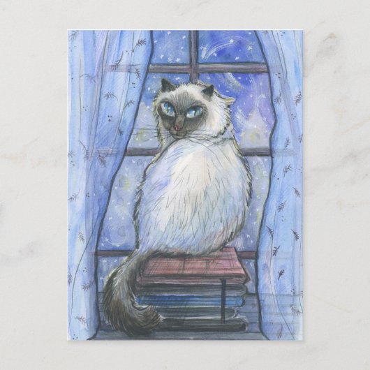 Een winterkat. briefkaart (Voorkant)