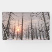 Een winternachtdroombanner spandoek (Horizontaal)