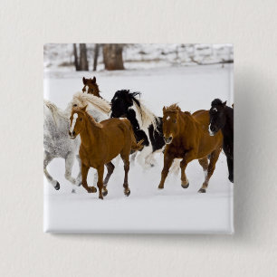 Een winters landschap met rennende paarden vierkante button 5,1 cm