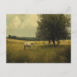 Een wit paard dat op een veld graast briefkaart