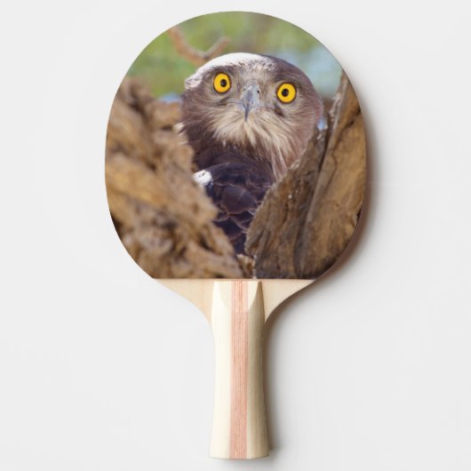 Een witborstslangenarend tafeltennisbatje (Voorkant)