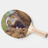 Een witborstslangenarend tafeltennisbatje (Zijkant)