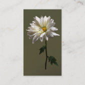 Een Witte Daisy Visitekaartje (Achterkant)