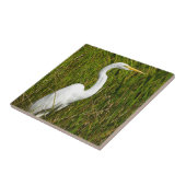 Een witte grot in Marsh Tegeltje (Zijkant)