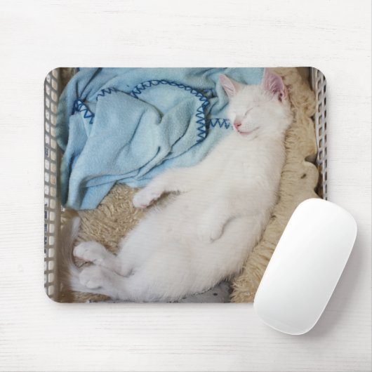 Een witte kat die in een wasmand slaapt, muismat (Met muis)