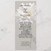 Een Witte Madelief Programma (Voorkant)