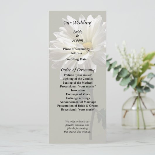 Een Witte Madelief Programma (Staand voorkant)