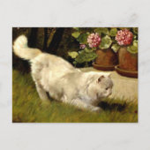 Een witte Perzische kat die een lieveheersbeestje Briefkaart (Voorkant)