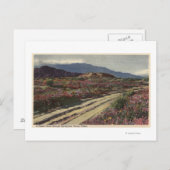 Een woestijnweg door Springtime Flower Fields Briefkaart (Voorkant / Achterkant)