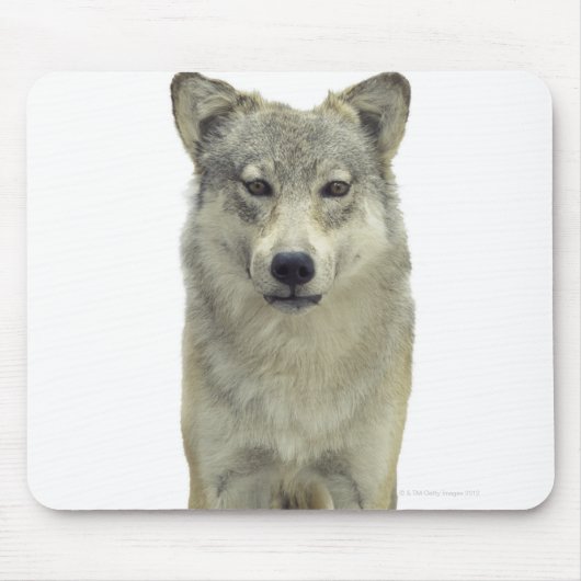 Een wolf muismat (Voorkant)