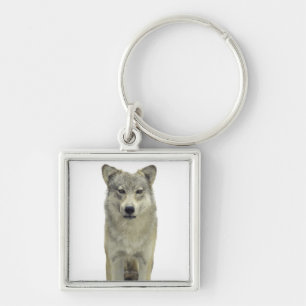 Een wolf sleutelhanger
