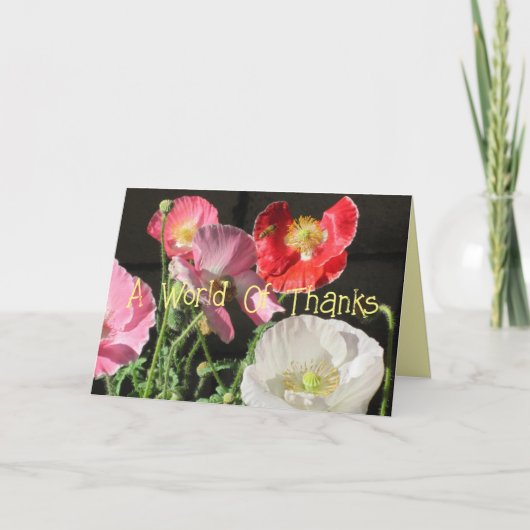 Een woord van Bedankt (Voorkant)