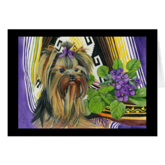 Een Yorkie genaamd Violet