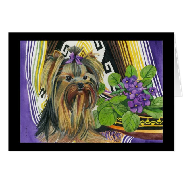 Een Yorkie genaamd Violet (Voorkant Horizontaal)