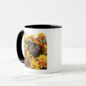 Een Yorkie-Poo-puppy in een mand van kunstmatige Mok (Voorkant links)