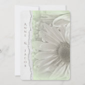 een zachte groene tint met een verscheurde papiere kaart (Voorkant)