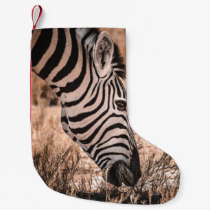 EEN ZEBRA ETOSHA NATIONAAL PARK KLEINE KERSTSOK