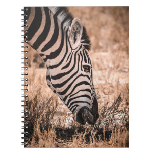 EEN ZEBRA ETOSHA NATIONAAL PARK NOTITIEBOEK