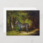 Een Zebra van George Stubbs Briefkaart (Voorkant / Achterkant)