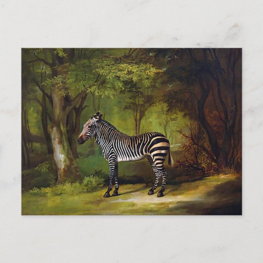 Een Zebra van George Stubbs Briefkaart (Voorkant)