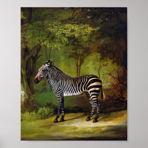 Een Zebra van George Stubbs Poster