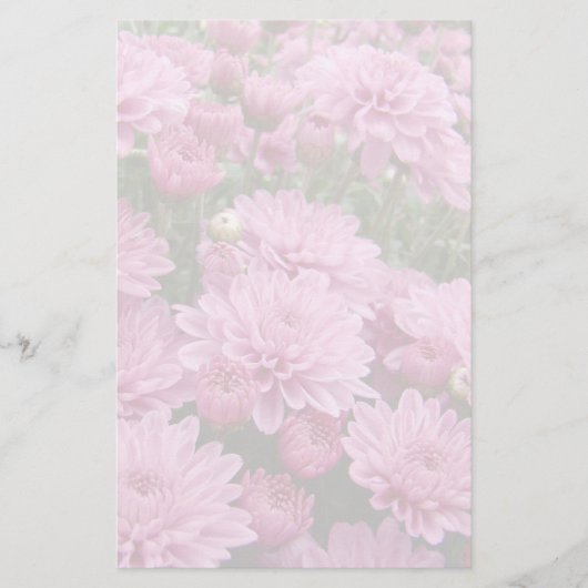 Een Zee roze chrysanthema #2 Briefpapier (Voorkant)