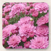 Een Zee roze chrysanthema #2 Drankjes Onderzetter (Voorkant)