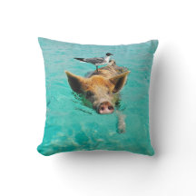 Een zee schedel en een varken