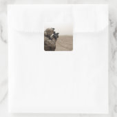 Een zee vuurt de M-32 Vierkante Sticker (Tas)