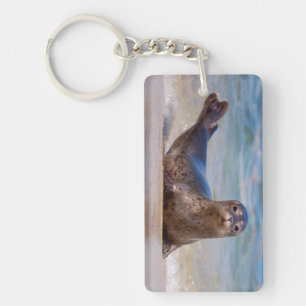 Een zeehond op een strand langs de Pacifische kust Sleutelhanger