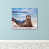 Een zeehond op een strand langs de Stille Oceaan k Canvas Afdruk (Insitu (Houten vloer))