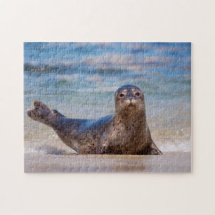 Een zeehond op een strand langs de Stille Oceaan k Legpuzzel