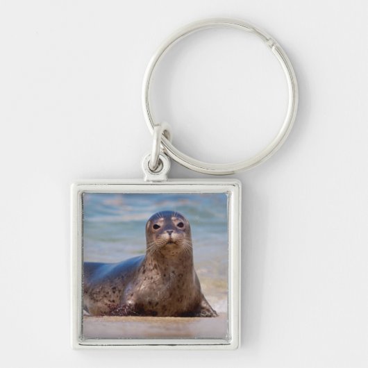 Een zeehond op een strand langs de Stille Oceaan k Sleutelhanger (Voorkant)