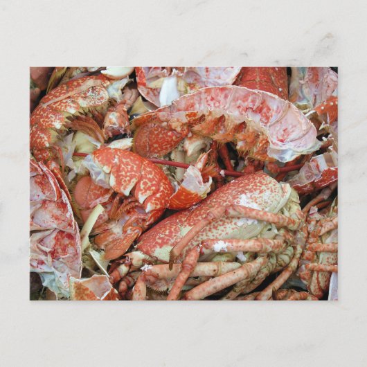 Een zeep van gekookte schelpen van Lobster en van Briefkaart (Voorkant)