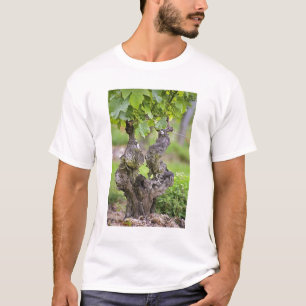 Een zeer oude wijnstok in de wijngaard Clos de l'E T-shirt