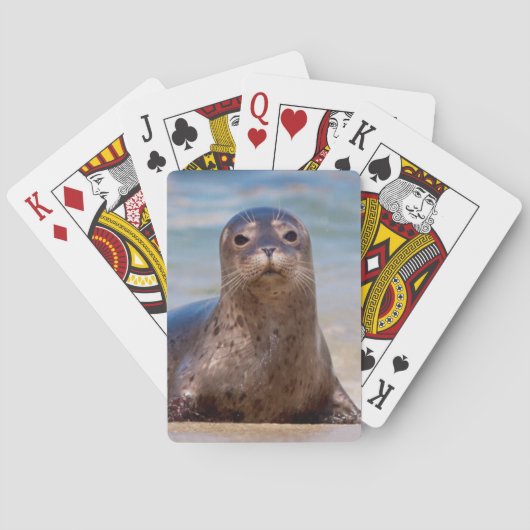 Een zegel op een strand langs de kust van de Still Pokerkaarten (Achterkant)