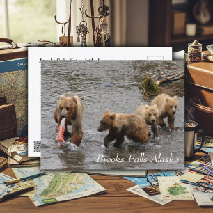 Een zeldzaam feest bij Brooks Falls Briefkaart