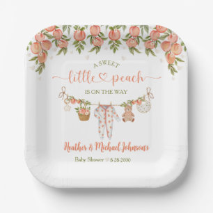 Een zoete kleine perzik waslijn baby shower papieren bordje