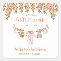 Een Zoete Kleine Perzik Waslijn Baby Shower