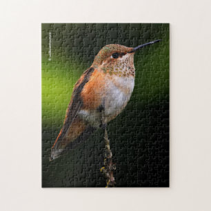 Een zoete roofvogel op de fruitboom legpuzzel