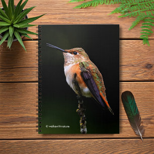 Een zoete roofvogel op de fruitboom notitieboek