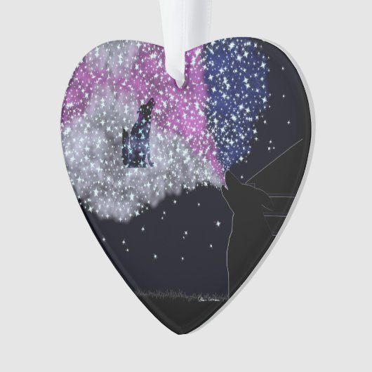 Een zomernacht met Sirius Ornament (voorkant)