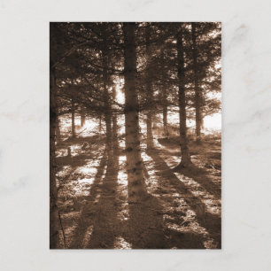 Een zonsondergang in het briefkaart. briefkaart