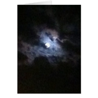 Een zwaan in de volle maan