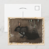 Een zwart konijn | Joseph Crawhall Briefkaart (Voorkant / Achterkant)