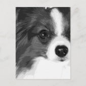 Een zwart-wit Papillon Briefkaart (Voorkant)